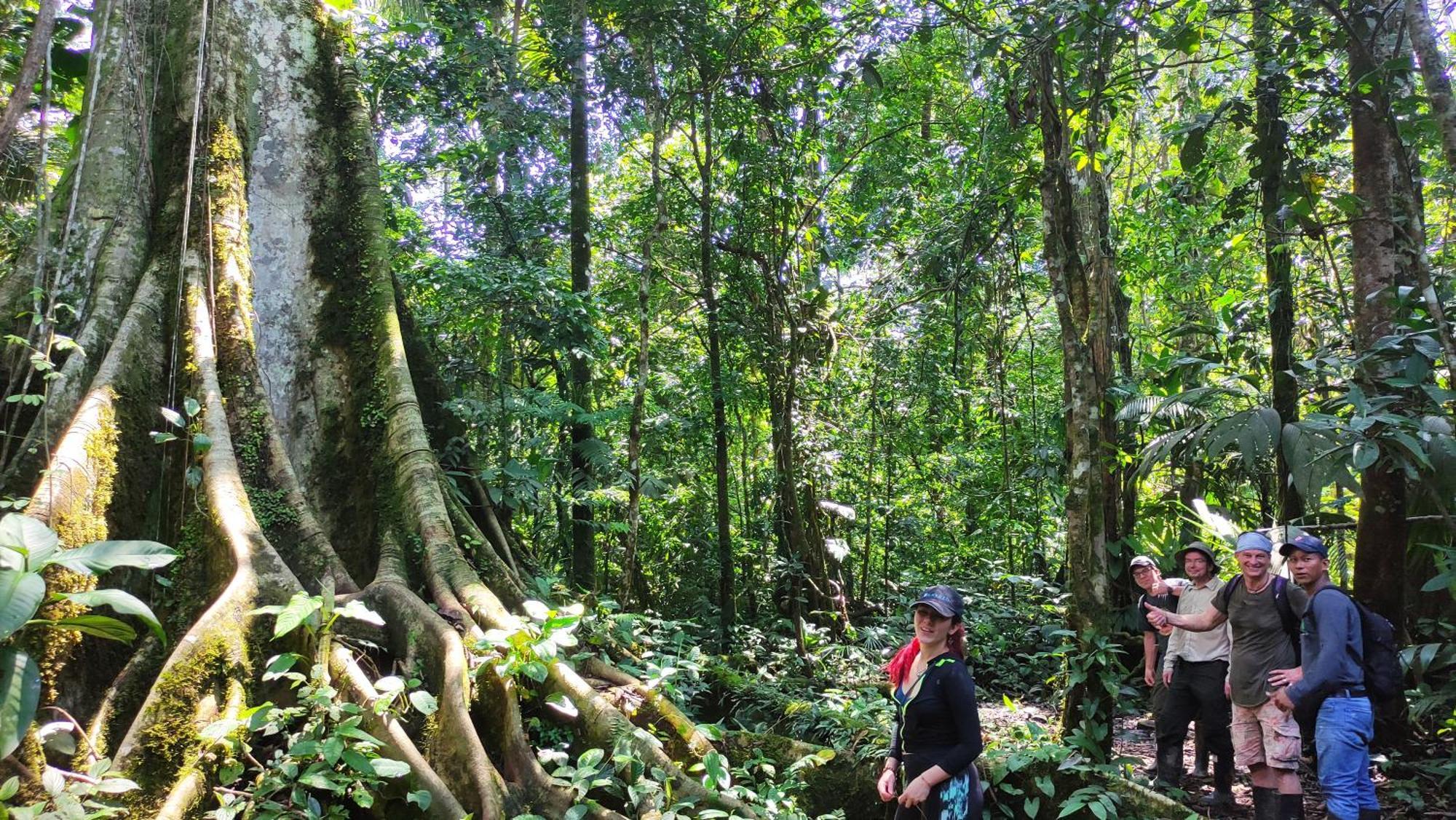 Gaia Amazon Eco Lodge Ahuano Eksteriør billede