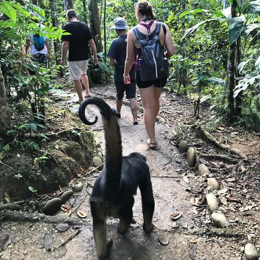Gaia Amazon Eco Lodge Ahuano Eksteriør billede