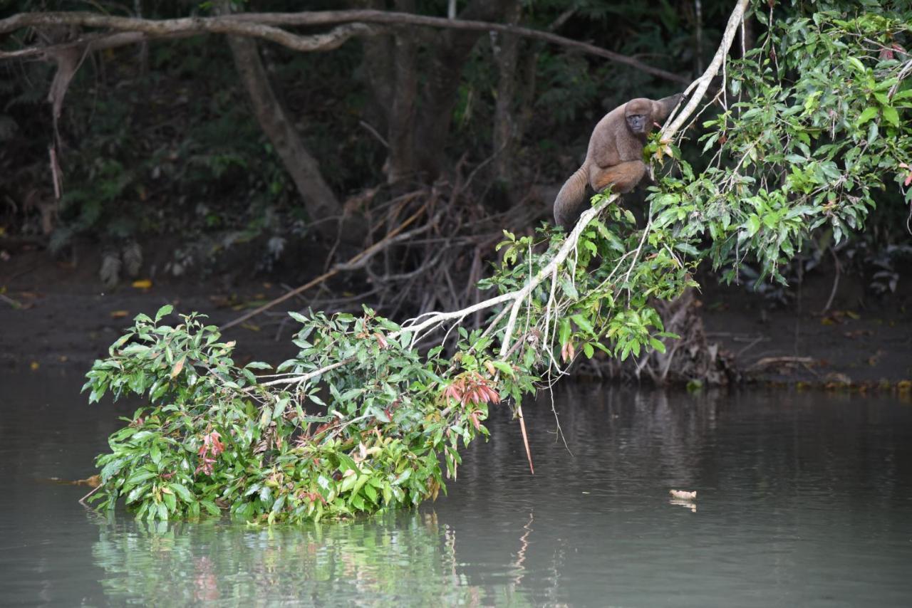 Gaia Amazon Eco Lodge Ahuano Eksteriør billede
